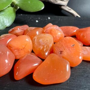 Carnelian Tumbled Stones Set of 3 | Warm Apricot Orange | Botswana | Sacral Chakra