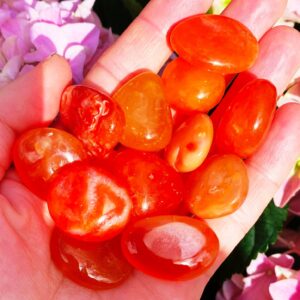Carnelian tumble Buy 100+ stone carnelian stones carnelian crystals pumpkin carnelian rocks halloween carnelian pumpkin crystals healing gem