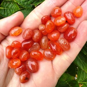 Carnelian tumble buy 50+ healing crystals Carnelian candle stones polished tumbles crystal craft elf kendal affordable gemstones 1-2cm stone