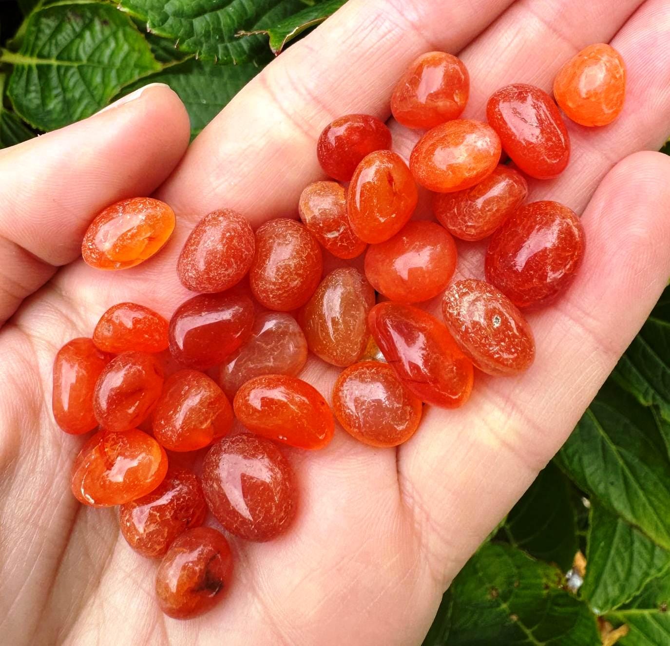 Carnelian Tumble 1-2cm Healing Crystals Carnelian Candle Stones Polished Tumbles Crystal Craft Elf Kendal Affordable Gemstones 1-2cm Stone