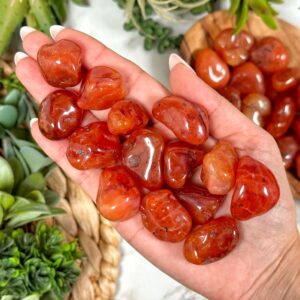 Carnelian Tumble | Xs-l | - No. 421 (polished Red Crystal Pocket Stone, Sacral Chakra, Healing Stone)