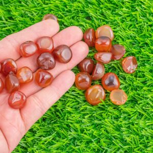 Carnelian Tumble Stone Medium Tumbled Stone- .5 inch-1.25 inch
