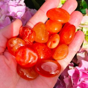 Carnelian Tumble Tiny Vibrant Orange 1-2cm Gemstone Mini Carnelian Gemstone Carnelian Tumbley Carnelian Polished Stone Pumpkin Rocks Gems Uk