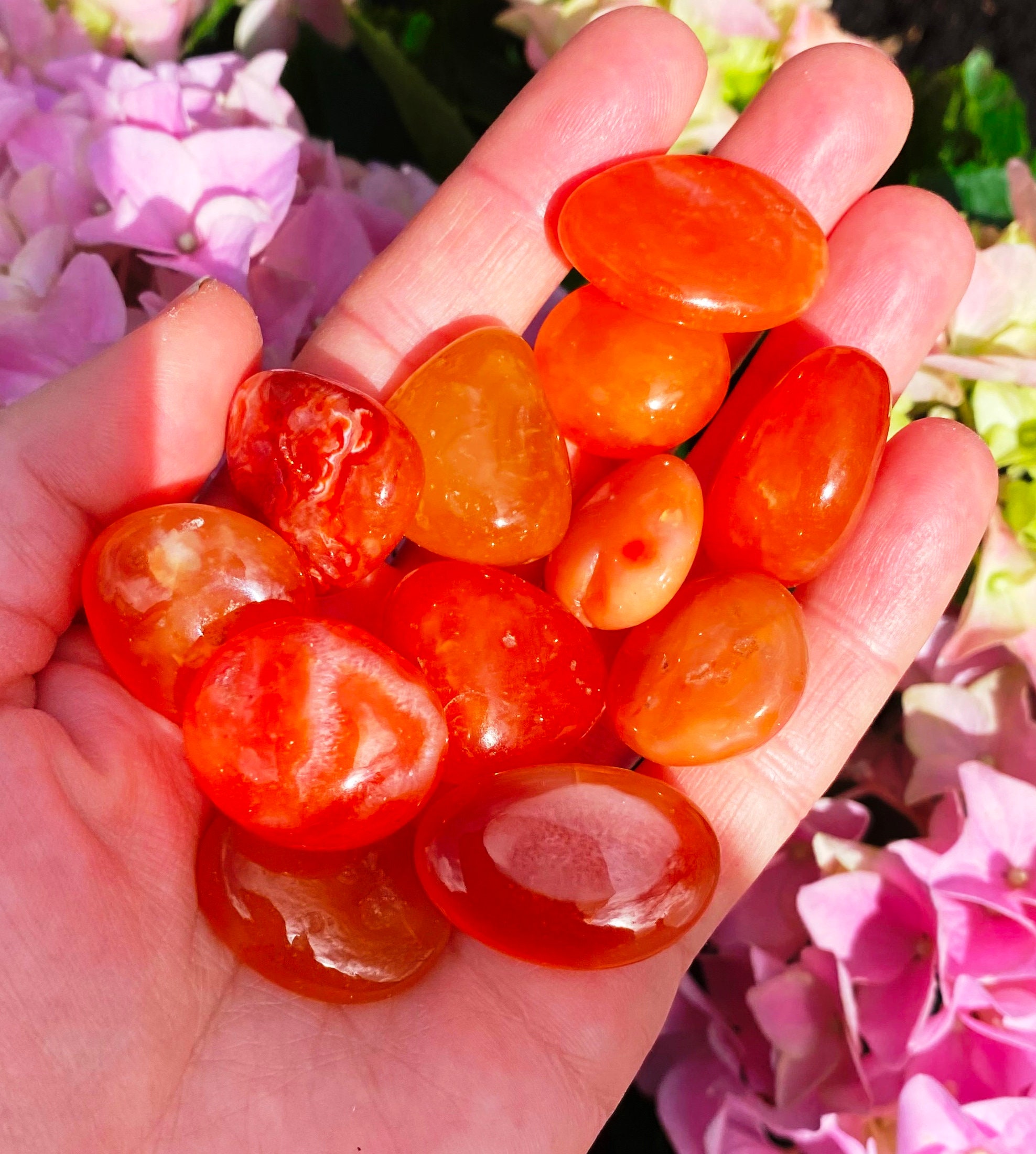 Carnelian Tumble Tiny Vibrant Orange 1-2cm Gemstone Mini Carnelian Gemstone Carnelian Tumbley Carnelian Polished Stone Pumpkin Rocks Gems Uk Carnelian Tumble Tiny Vibrant Orange 1-2cm Gemstone Mini Carnelian Gemstone Carnelian Tumbley Carnelian Polished Stone Pumpkin Rocks Gems Uk