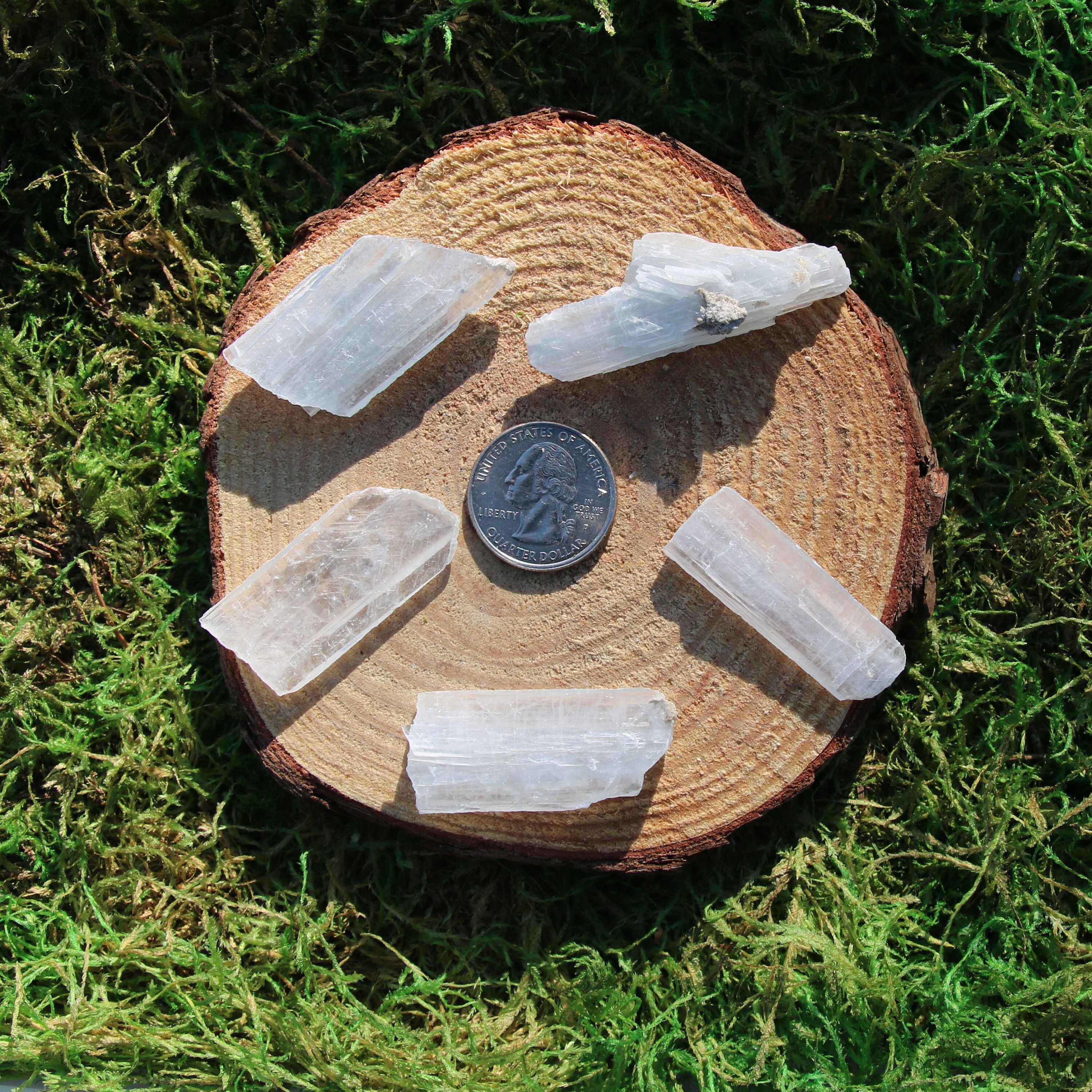 Celestite Blades Raw Singles #a-o