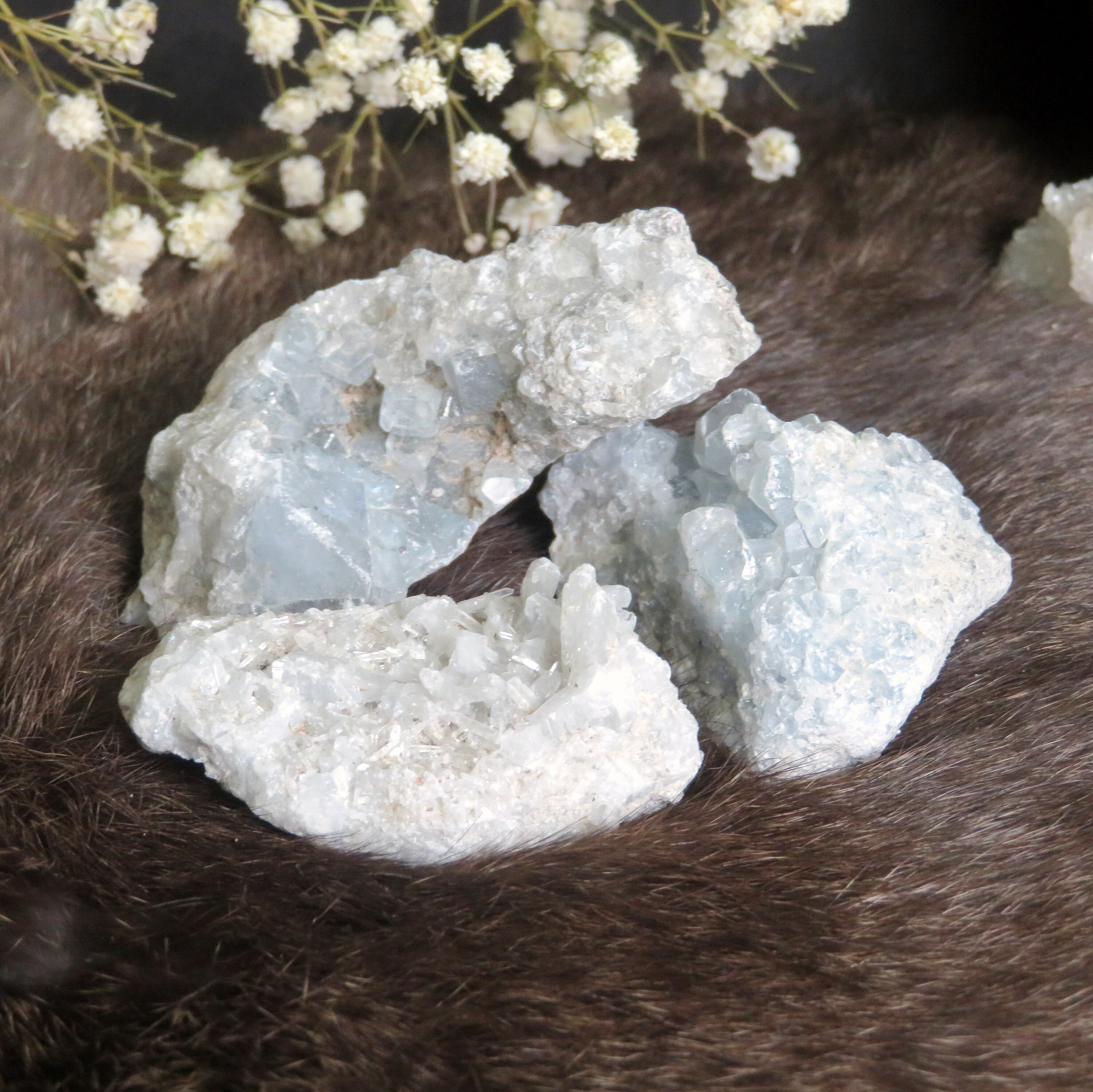 Blue Celestite - Raw Stones - You Get All - Chakra - Stones - Crystal Grid (rk37b22-05)