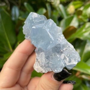 Celestite, Celestite Cluster, 2.6”