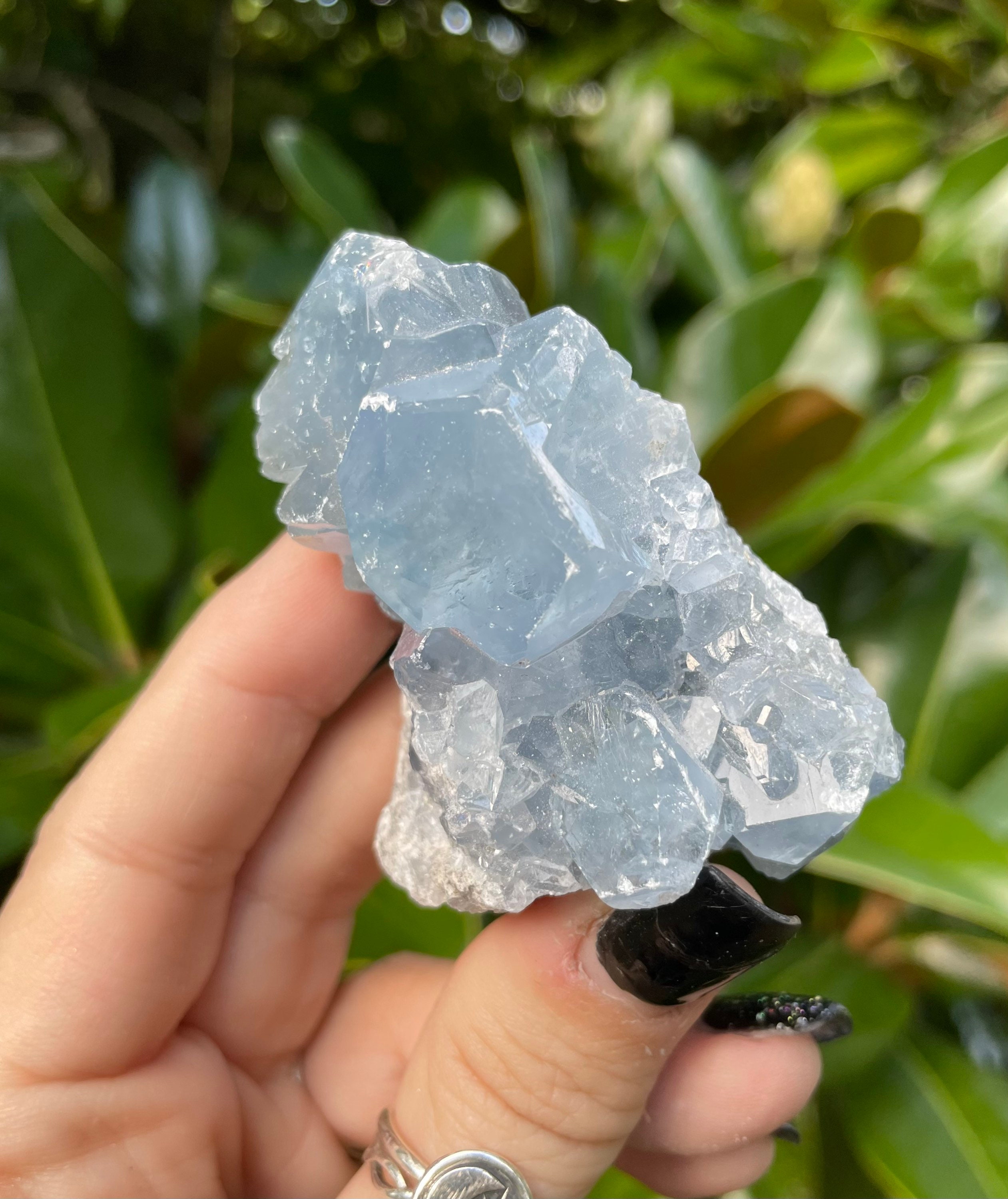 Celestite, Celestite Cluster, 2.6”