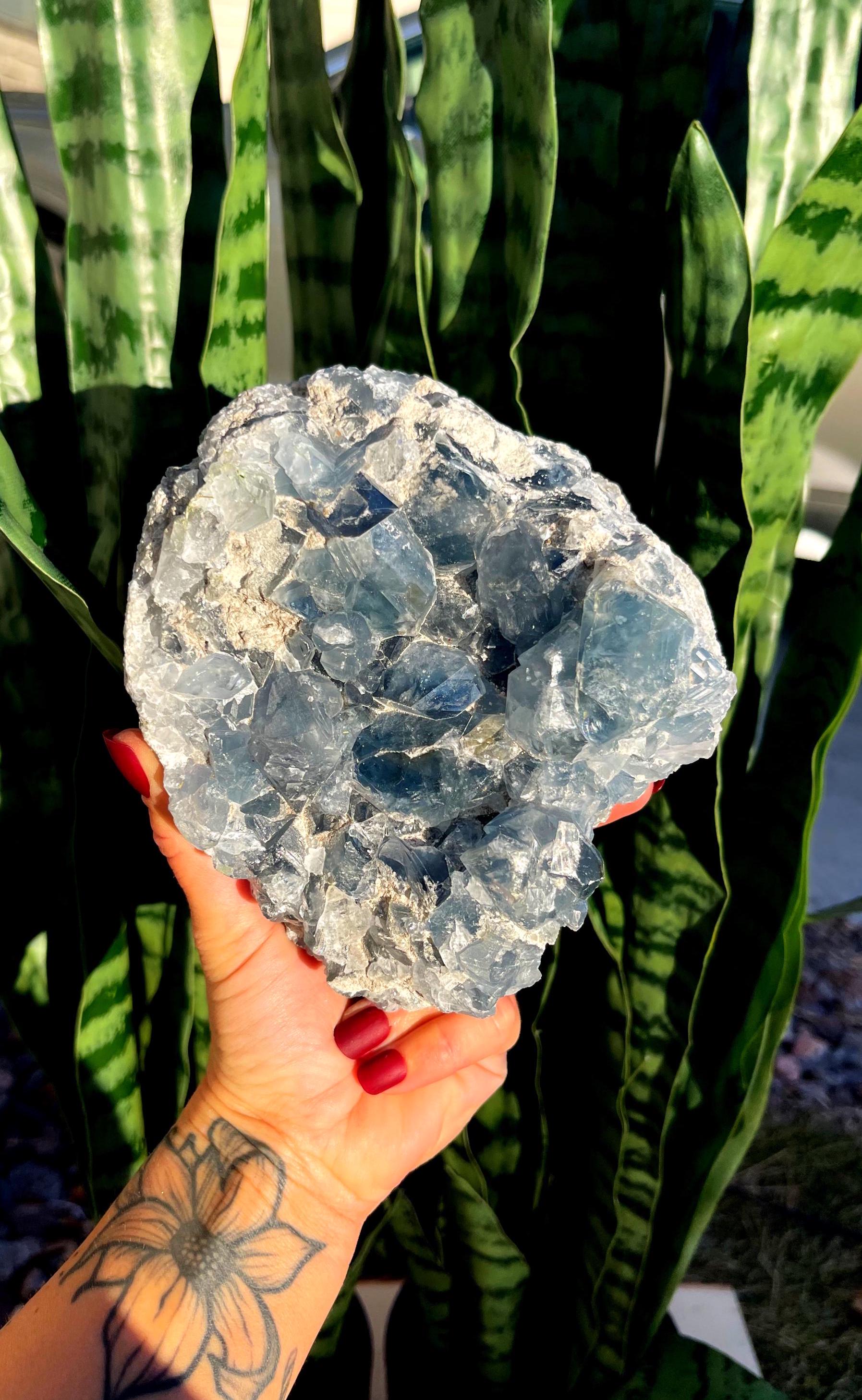 Celestite Crystal Geode - Healing Crystal - Throat Chakra Crystal - "crystal Of The Angels" - Blue Crystal