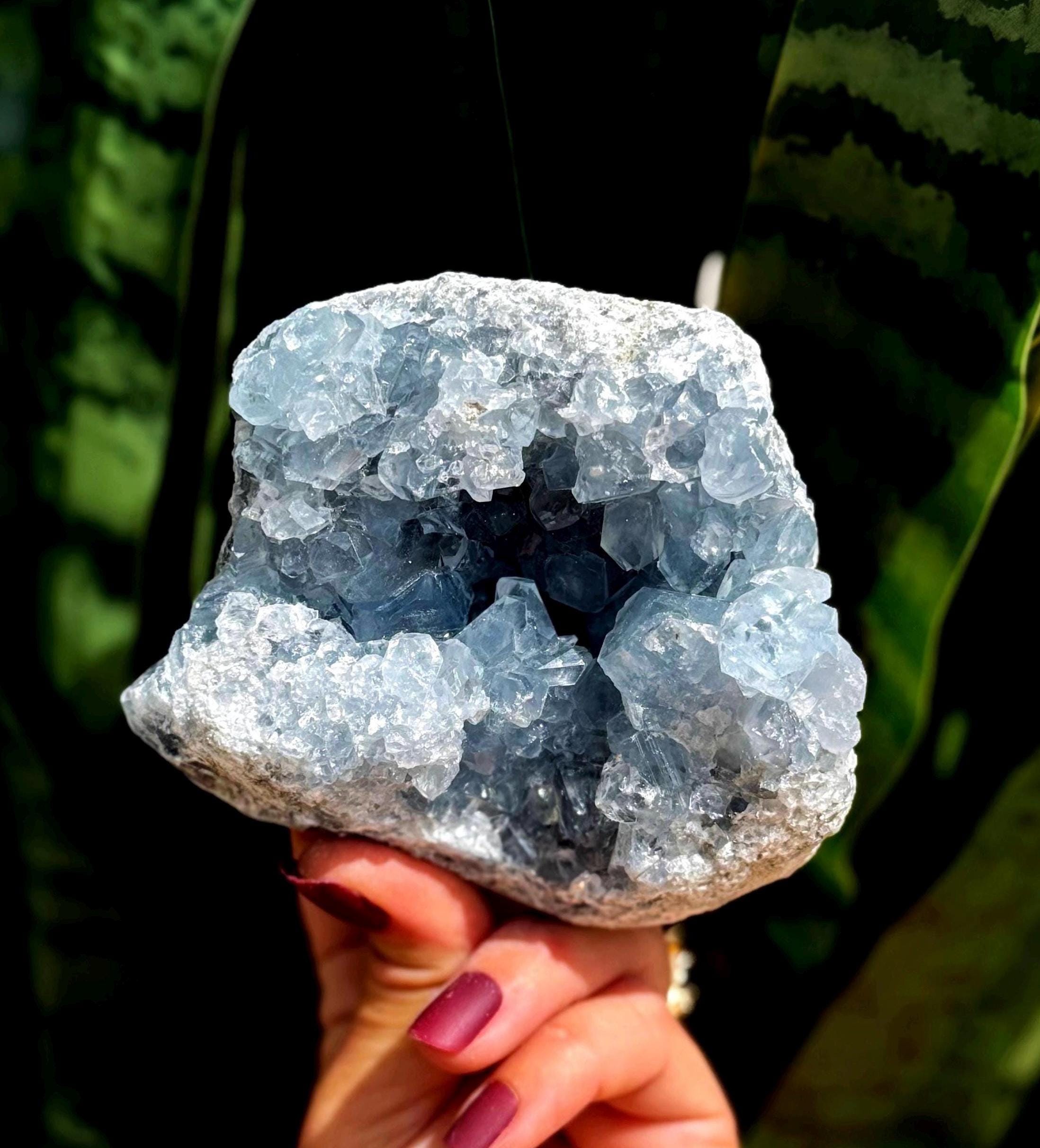 Celestite Crystal Geode - Healing Crystal - Throat Chakra Crystal - "crystal Of The Angels" - Blue Crystal