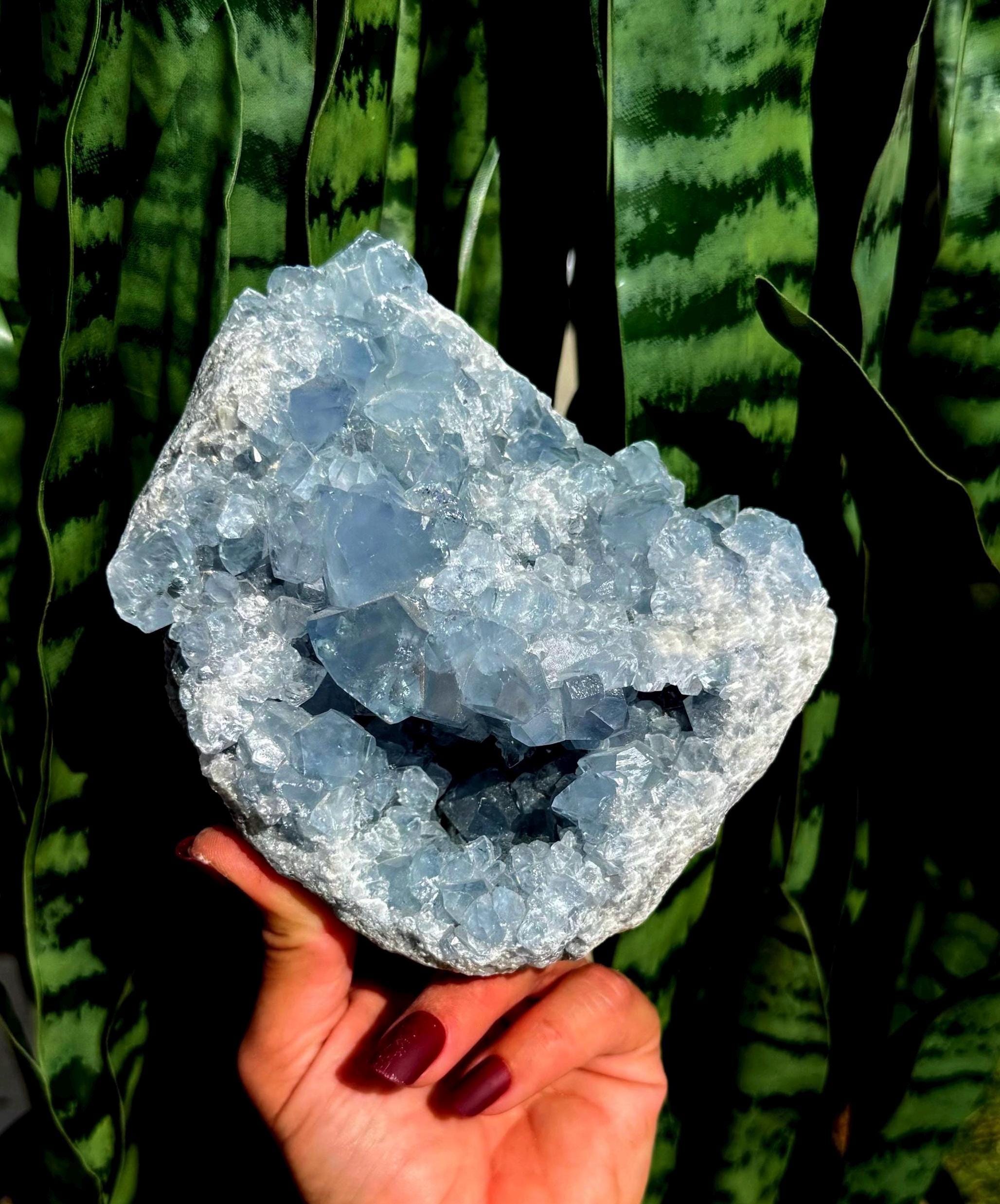 Celestite Crystal Geode - Healing Crystal - Throat Chakra Crystal - "crystal Of The Angels" - Blue Crystal