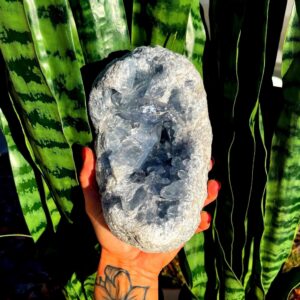 Celestite Crystal Geode - Throat Chakra Crystal (Healing Crystal)