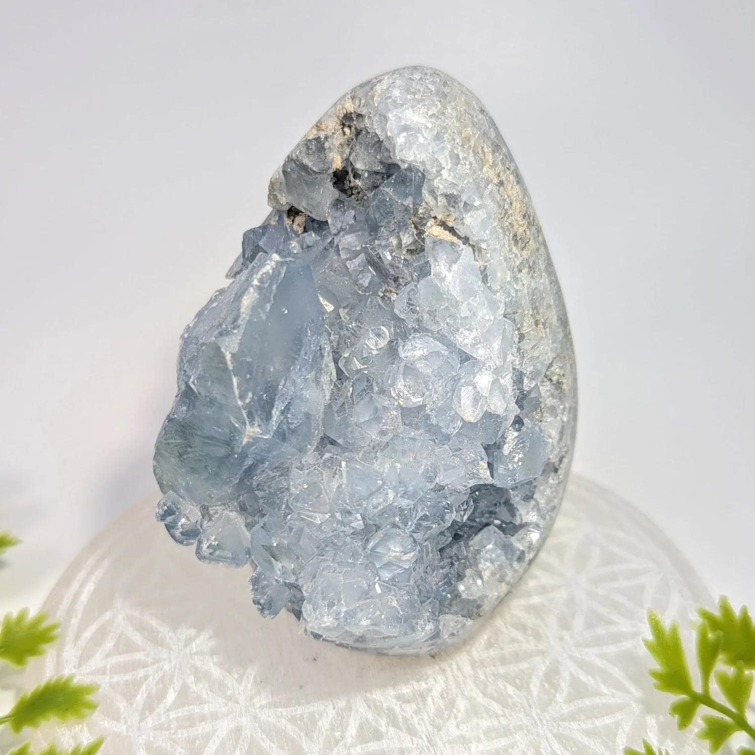 Celestite 3.6" Freeform #bc1147