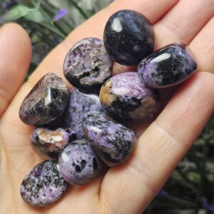 Charoite Crystal - Charoite Stone - Tumbled Charoite - Charoite Tumbled - Purple Charoite - Charoite Chips - Charoite - Polished Charoite