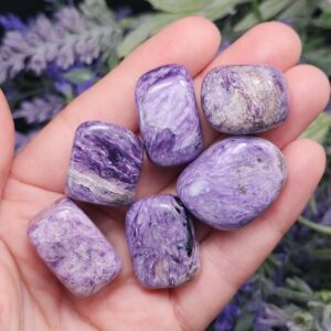 High Quality Charoite Crystal - Tumbled Charoite - Natural Crystal Specimen