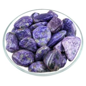 Charoite Tumbled Stone #sk2183 Charoite Tumbled Stone #sk2183