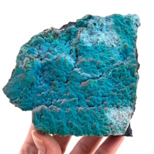 Botryoidal Chrysocolla On Raw Malachite Specimen, Congo Botryoidal Chrysocolla On Raw Malachite Specimen, Congo