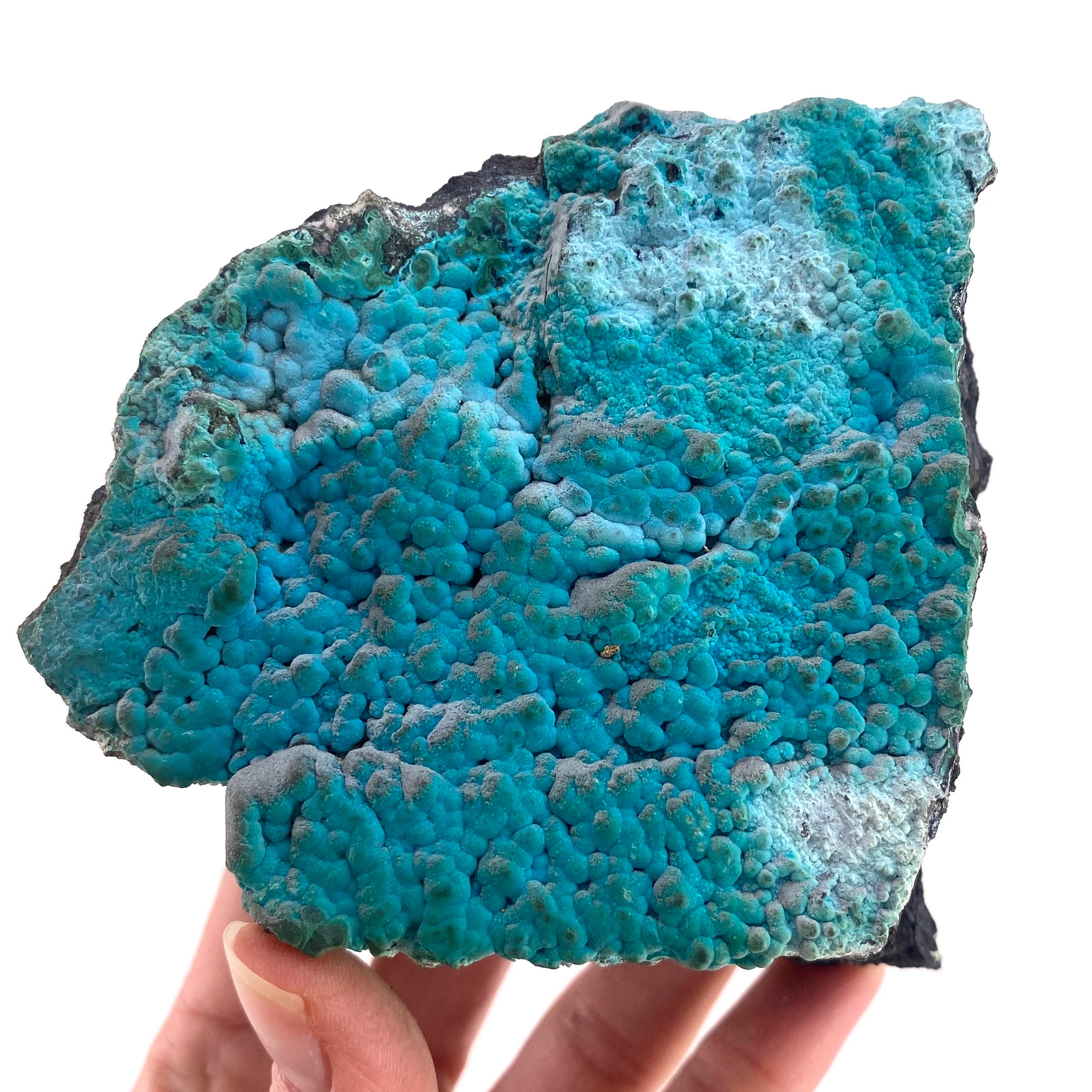 Botryoidal Chrysocolla On Raw Malachite Specimen, Congo