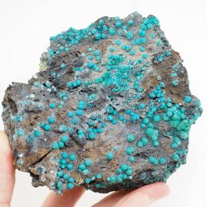 Chrysocolla Mineral Specimen: Planet Mine Arizona Crystals (92mm) Chrysocolla Mineral Specimen: Planet Mine Arizona Crystals (92mm)