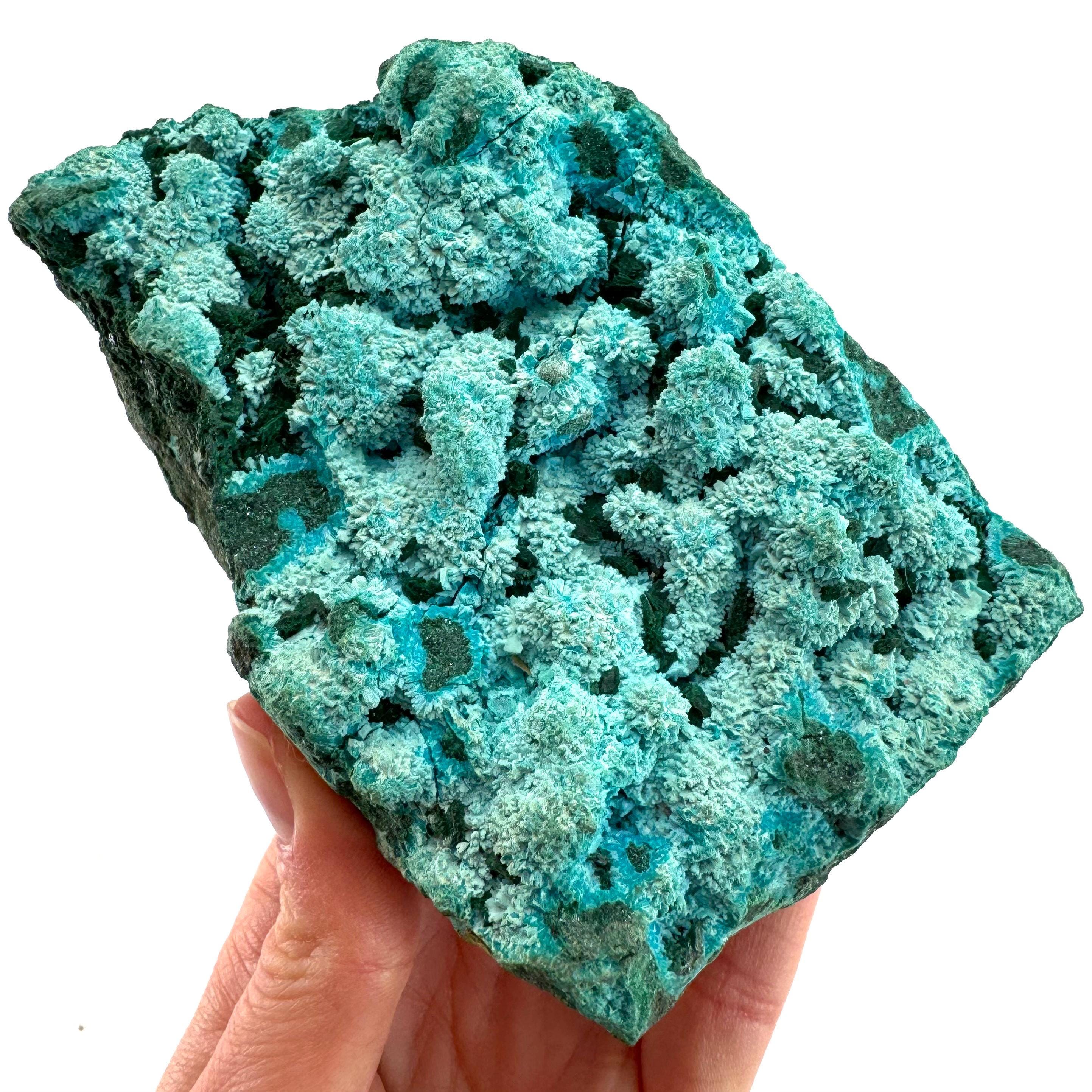 Chrysocolla Over Malachite Specimen | Raw Congo Mineral