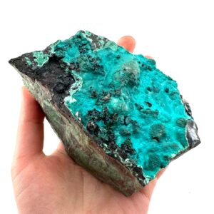 Raw Chrysocolla Specimen | Botryoidal Crystal From Congo Raw Chrysocolla Specimen | Botryoidal Crystal From Congo
