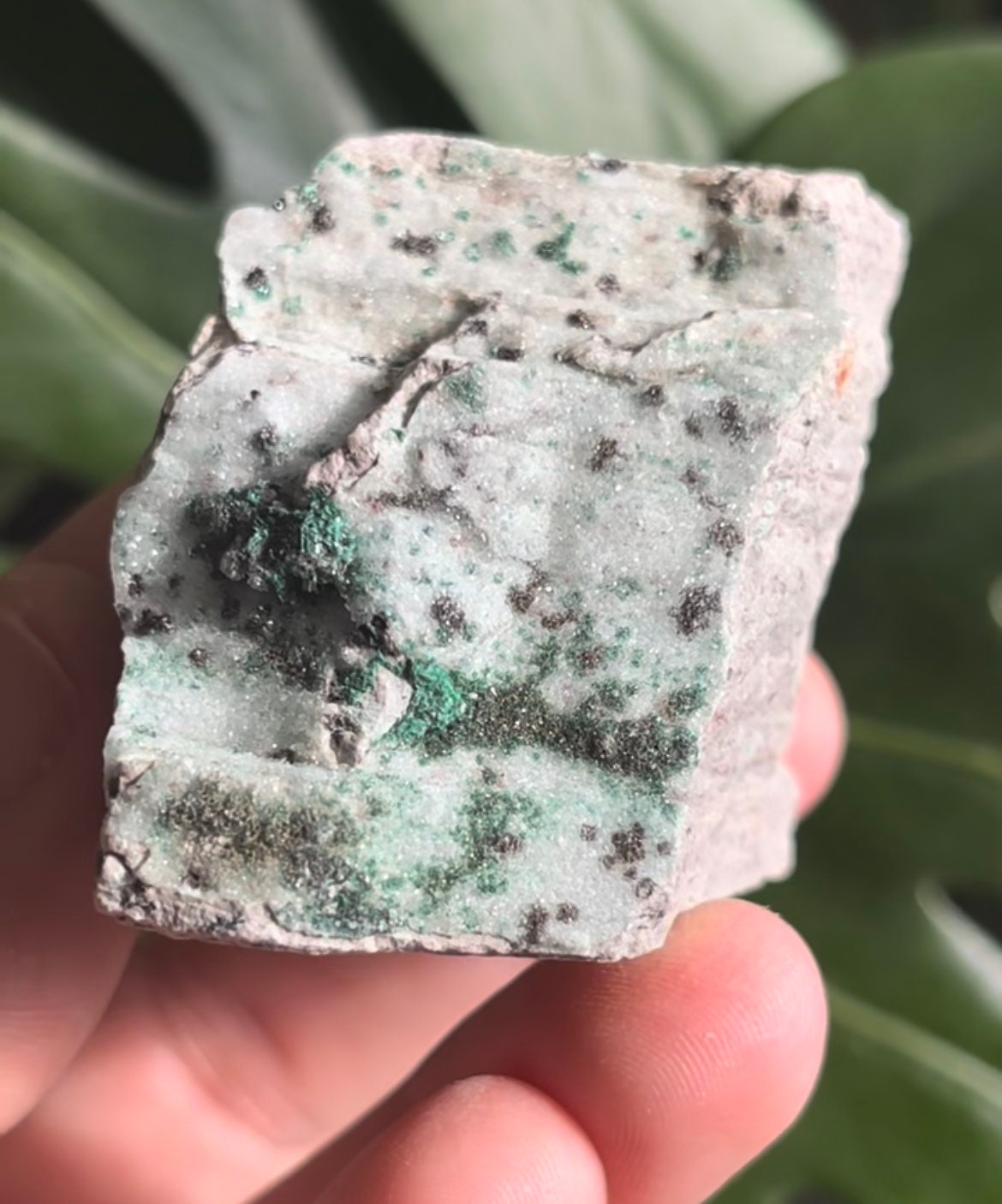 Stunning High Sparkle Malachite Chrysocolla Raw Mineral Crystal Cluster ~ Collector Minerals ~ Congo