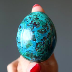Chrysocolla Egg Exquisite Earth Blue Green Stone