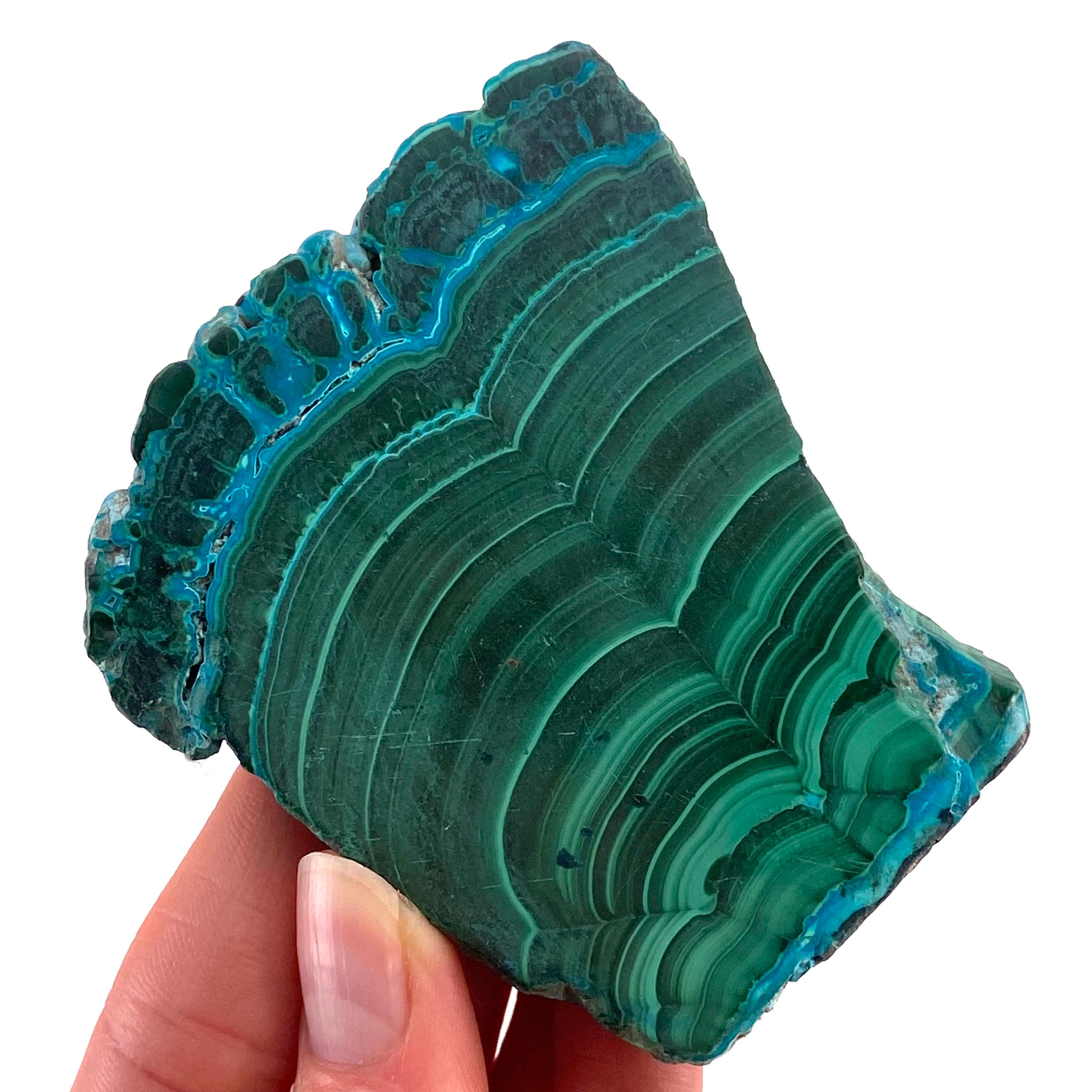 Malachite Chrysocolla Slice, Polished Congo Slab (7x5 Cm) Malachite Chrysocolla Slice, Polished Congo Slab (7x5 Cm)
