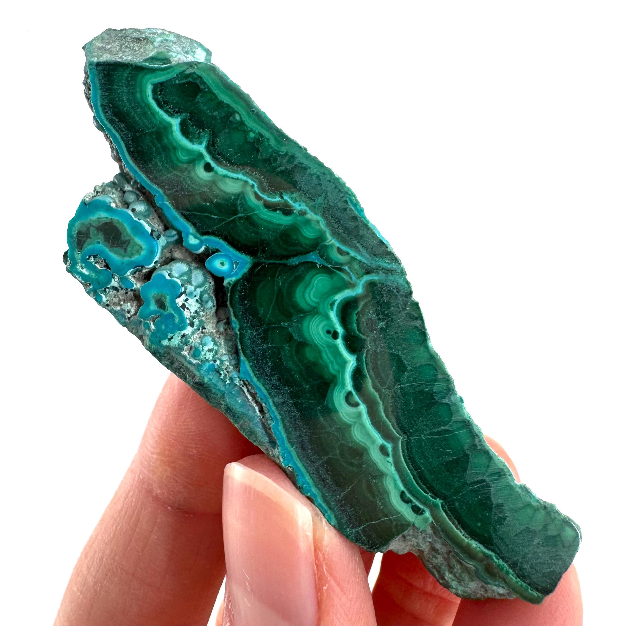 Malachite & Chrysocolla Slice | Polished Malacolla Crystal Slab Malachite & Chrysocolla Slice | Polished Malacolla Crystal Slab