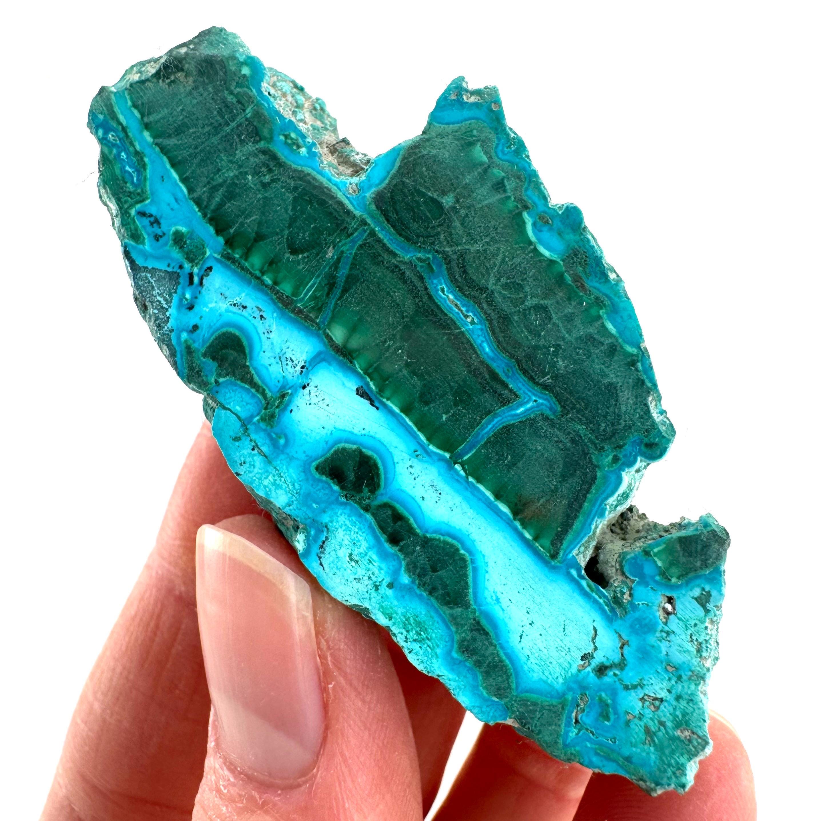 Malachite & Chrysocolla Slice | Polished Malacolla Crystal Slab Malachite & Chrysocolla Slice | Polished Malacolla Crystal Slab