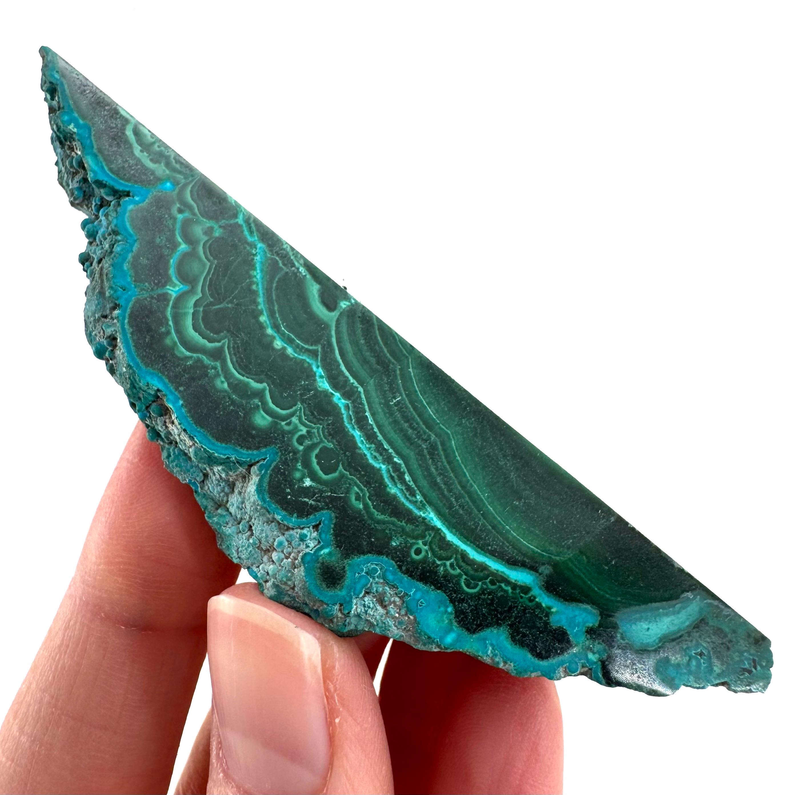 Malachite & Chrysocolla Slice | Polished Malacolla Crystal Slab Malachite & Chrysocolla Slice | Polished Malacolla Crystal Slab