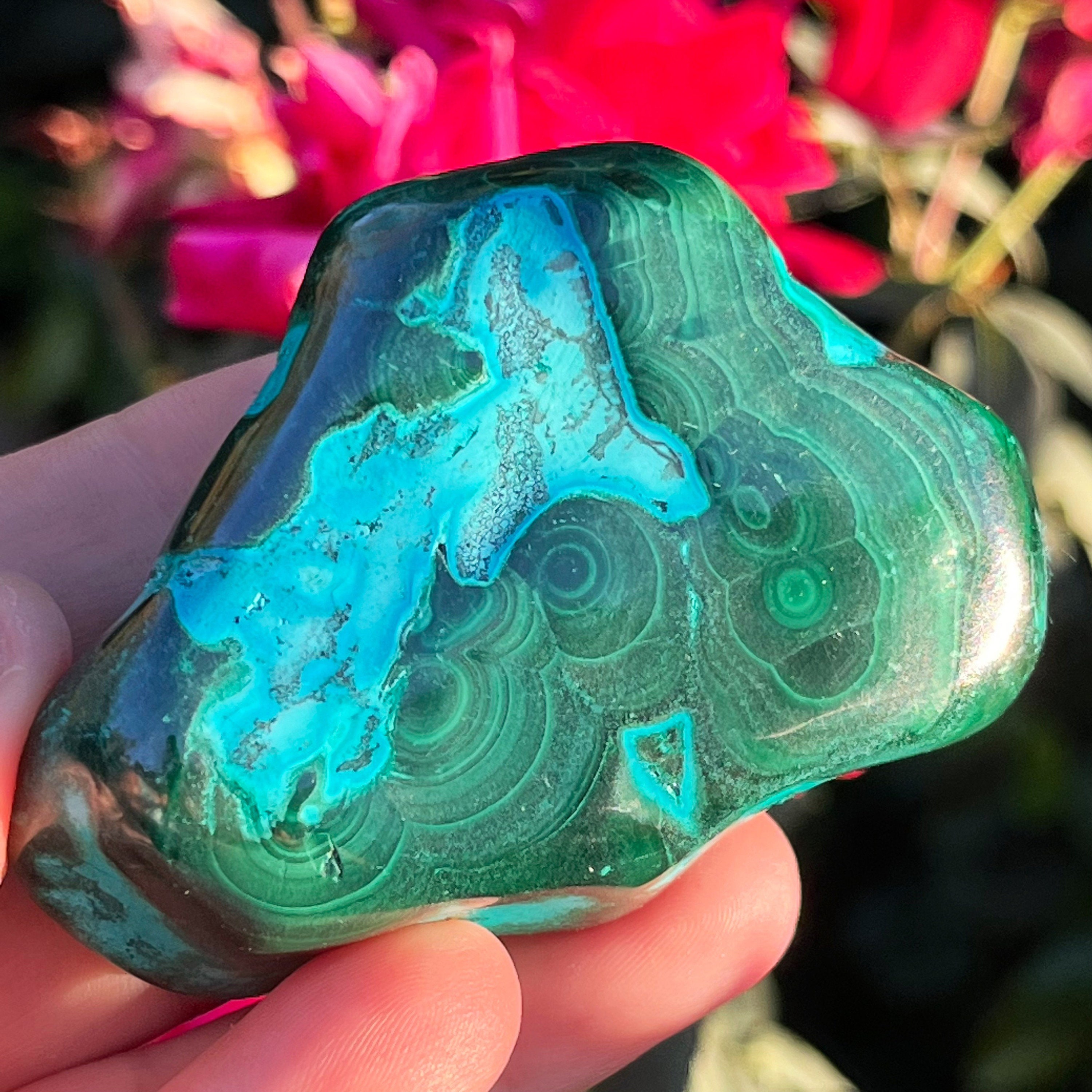 Malacolla Chrysocolla Malachite Freeform Stone Tumbles Natural Polished Crystals ~