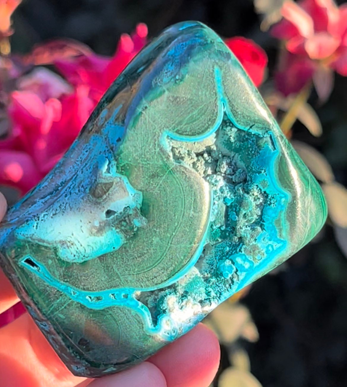 Stunning Druzy Malacolla Chrysocolla Malachite Freeform Stone Tumbles Natural Polished Crystals ~ Mc5 Stunning Druzy Malacolla Chrysocolla Malachite Freeform Stone Tumbles Natural Polished Crystals ~ Mc5