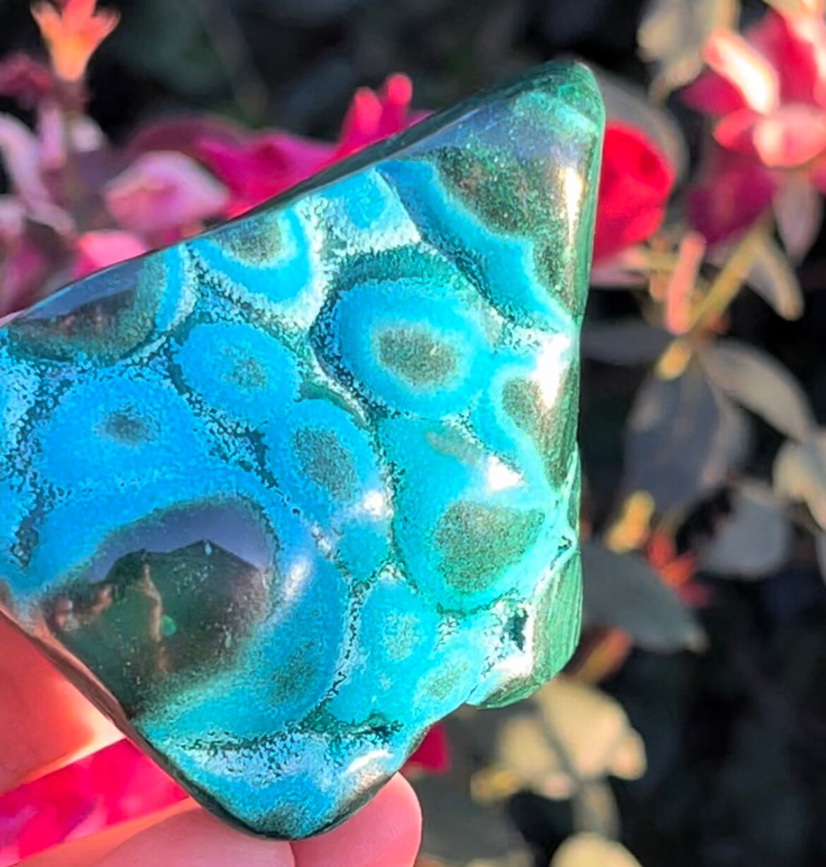 Stunning Druzy Malacolla Chrysocolla Malachite Freeform Stone Tumbles Natural Polished Crystals ~ Mc24 Stunning Druzy Malacolla Chrysocolla Malachite Freeform Stone Tumbles Natural Polished Crystals ~ Mc24