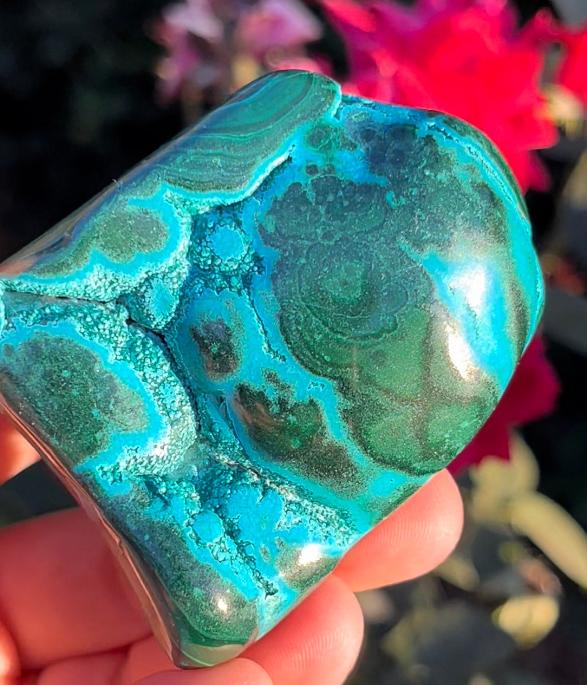 Stunning Druzy Malacolla Chrysocolla Malachite Freeform Stone Tumbles Natural Polished Crystals ~ Mc6 Stunning Druzy Malacolla Chrysocolla Malachite Freeform Stone Tumbles Natural Polished Crystals ~ Mc6