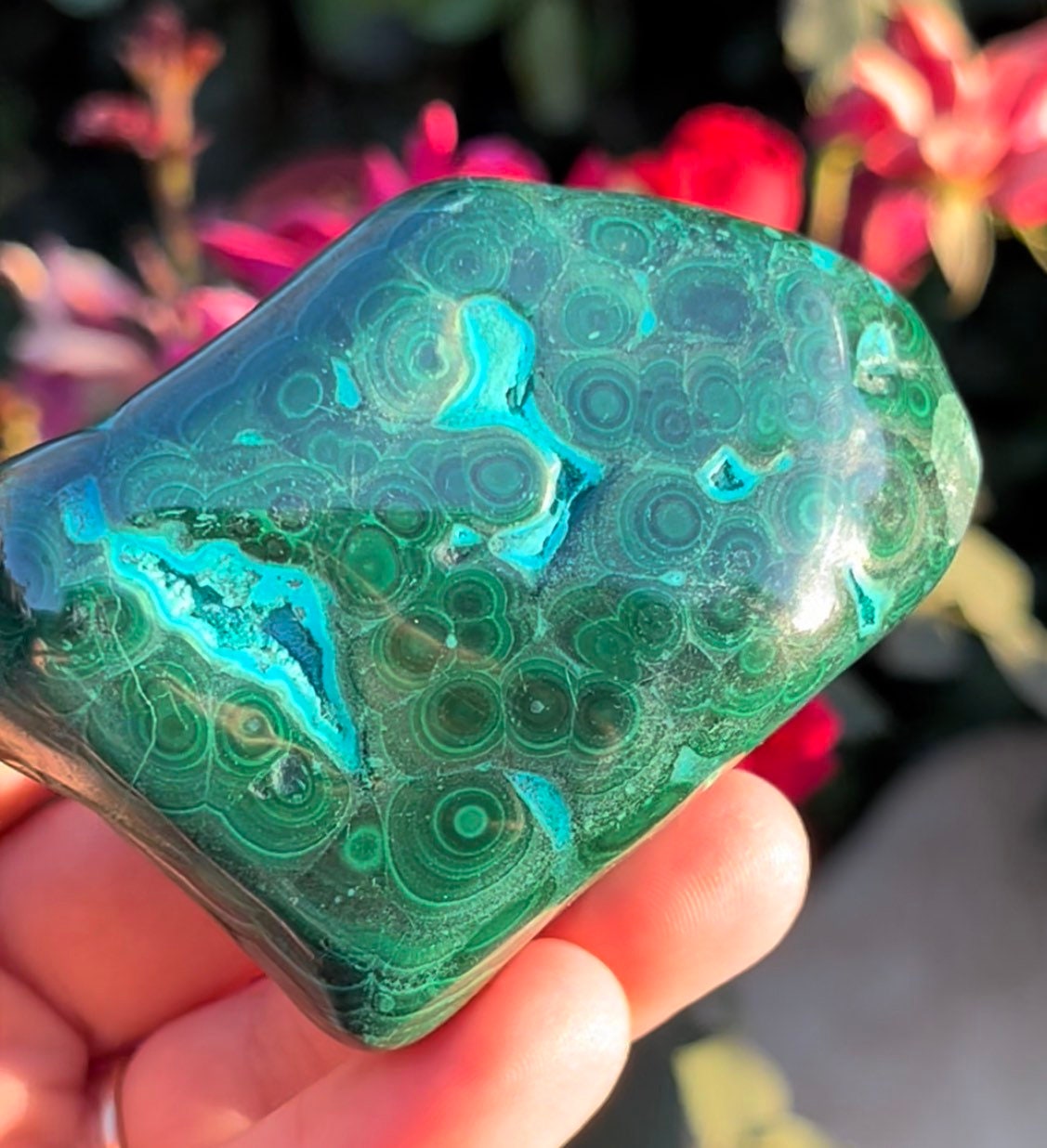 Stunning Malacolla Chrysocolla Malachite Freeform Stone Tumbles Natural Polished Crystals ~