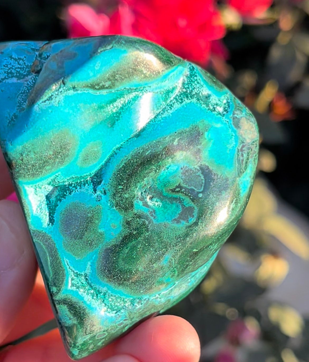 Stunning Malacolla Chrysocolla Malachite Freeform Stone Tumbles Natural Polished Crystals ~ Mc21 Stunning Malacolla Chrysocolla Malachite Freeform Stone Tumbles Natural Polished Crystals ~ Mc21