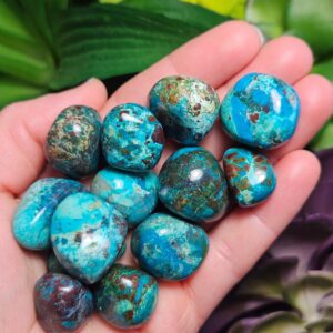Chrysocolla & Cuprite Crystal Specimen - Tumbled Chrysocolla - Polished Chrysocolla