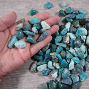 Chrysocolla Tumbled Stone 0.5 Inch // Crystal
