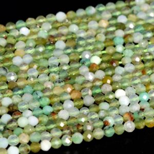 2MM Chrysoprase / Australian Jade Beads A Genuine Natural Gemstone Full Strand Faceted Round Loose Beads 15" Bulk Lot Options (107697-2508)