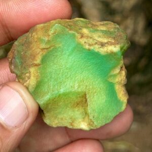 Raw Australian Chrysoprase Gemstone: Green Healing Crystal (184 Carat, 46x36x19 Mm) Raw Australian Chrysoprase Gemstone: Green Healing Crystal (184 Carat, 46x36x19 Mm)