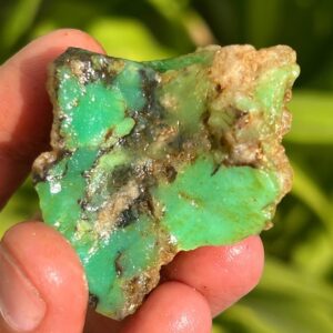Raw Australian Chrysoprase Specimen, Rough Gemstone, Healing Crystal (195.30 Crt) Raw Australian Chrysoprase Specimen, Rough Gemstone, Healing Crystal (195.30 Crt)