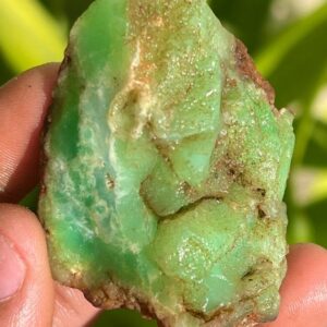 Australian Chrysoprase Raw Stone: Green Chakra Gemstone, 278.05 Carat Australian Chrysoprase Raw Stone: Green Chakra Gemstone, 278.05 Carat