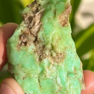 Raw Australian Chrysoprase Stone: Green Chakra Gemstone, 255.25 Carat Raw Australian Chrysoprase Stone: Green Chakra Gemstone, 255.25 Carat
