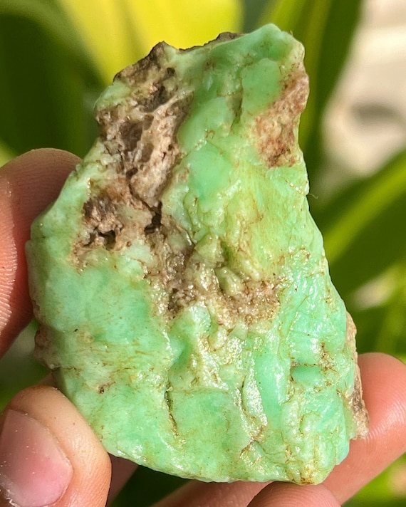 Raw Australian Chrysoprase Stone: Green Chakra Gemstone, 255.25 Carat