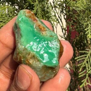 Large Size Natural Green Chyrysoprase Rough /chrysoprase Raw Chunks/chrysoprase Rocks/chrysoprase For Making Jewelry 200 Caret Large Size Natural Green Chyrysoprase Rough /chrysoprase Raw Chunks/chrysoprase Rocks/chrysoprase For Making Jewelry 200 Caret