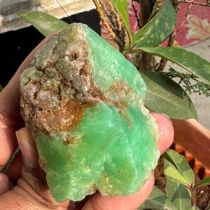 Large Size Natural Green Chyrysoprase Rough /chrysoprase Raw Chunks/chrysoprase Rocks/chrysoprase For Making Jewelry 500 Caret Large Size Natural Green Chyrysoprase Rough /chrysoprase Raw Chunks/chrysoprase Rocks/chrysoprase For Making Jewelry 500 Caret