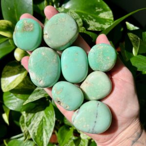 RARE Brazilian Chrysoprase Palms | Chrysoprase Pumbles