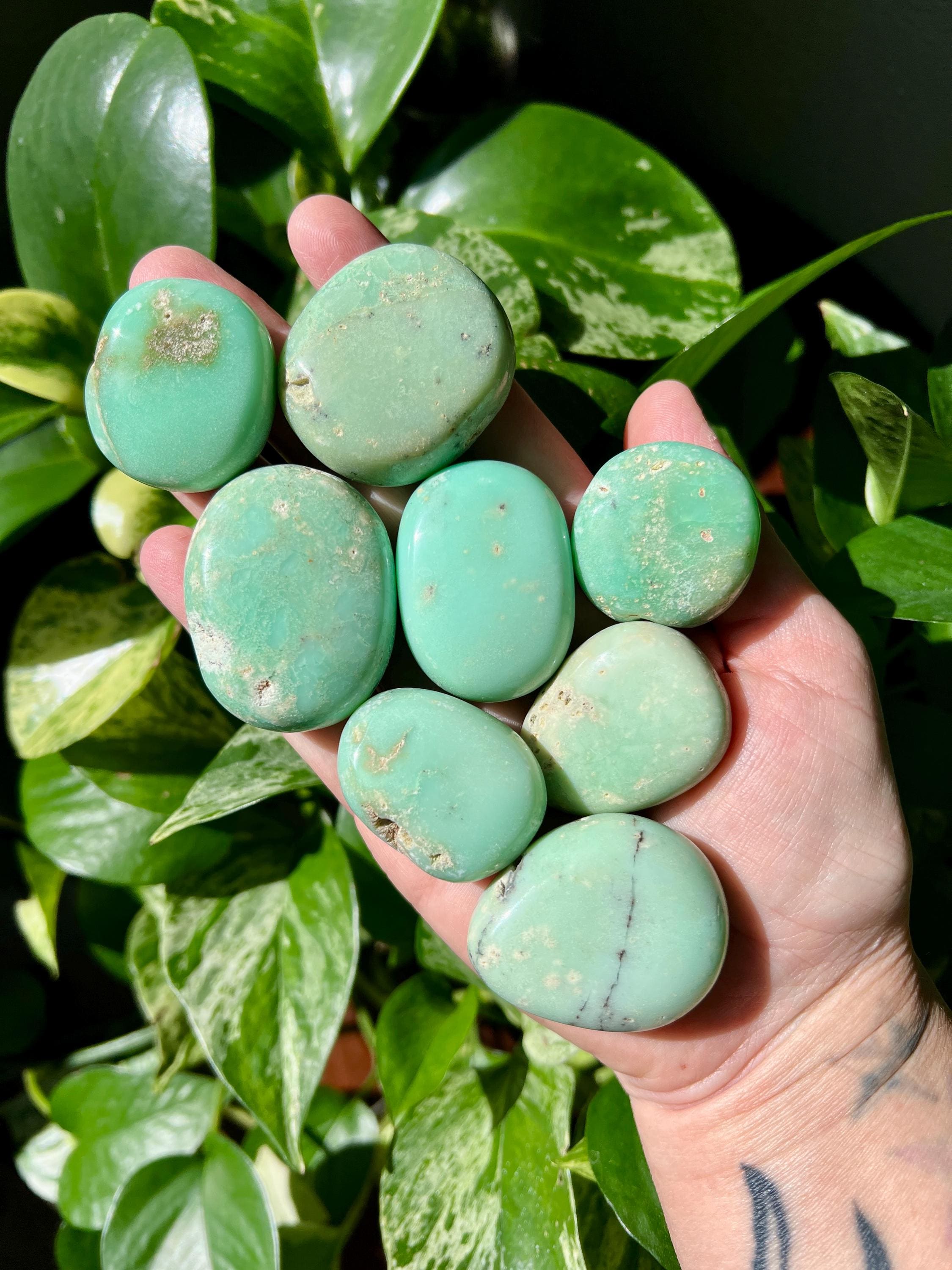 Rare Brazilian Chrysoprase Palms | Chrysoprase Pumbles