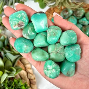Chrysoprase Tumble | S, M, L | - No. 442 (polished Green Crystal Pocket Stone, Heart Chakra, Healing Stone, Love)